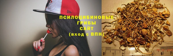 твердый Алексин