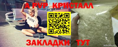 шишки Новодвинск