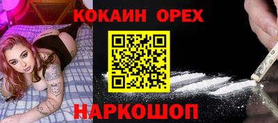 шишки Новодвинск