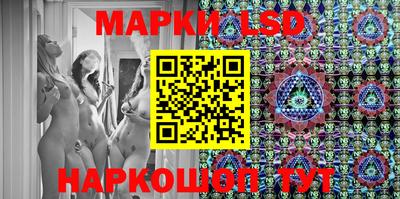 шишки Новодвинск