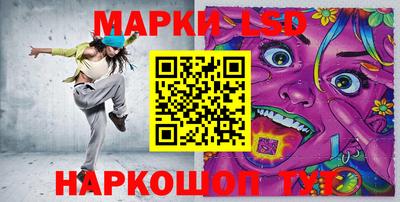 шишки Новодвинск