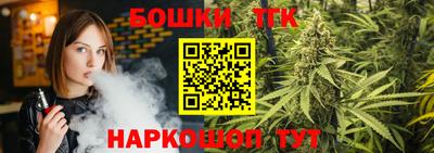 шишки Новодвинск