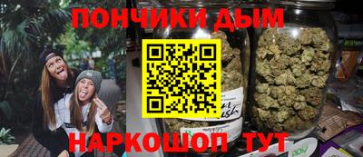 шишки Новодвинск