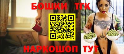 шишки Новодвинск