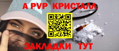 шишки Новодвинск