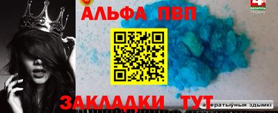 шишки Новодвинск