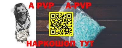 шишки Новодвинск