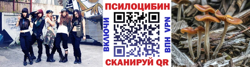 Псилоцибиновые грибы Psilocybine cubensis  сайты даркнета формула  Беслан  гидра зеркало 